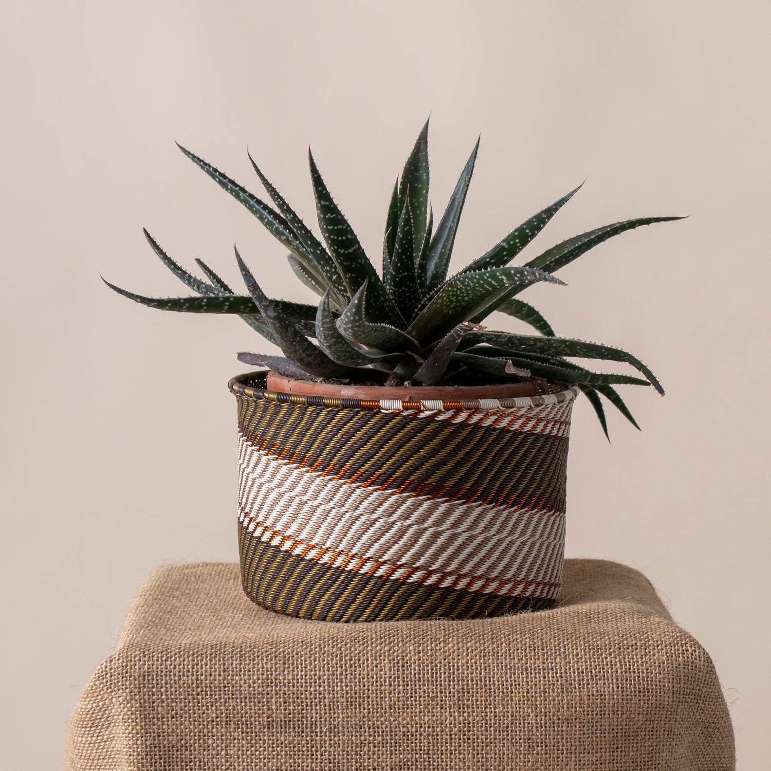 Nomad Weave – Handwoven Telephone Wire Planter - Photo 2