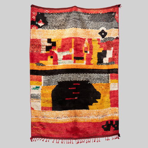 Bao Rug - Photo 1